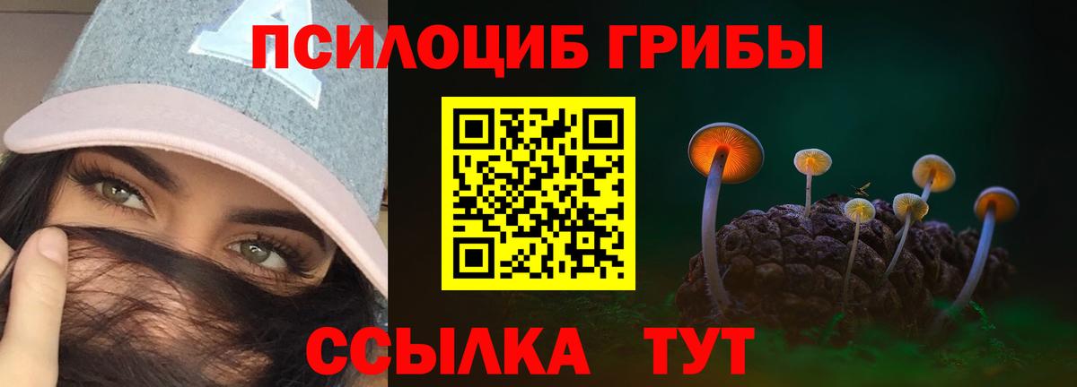 Псилоцибиновые грибы GOLDEN TEACHER  Вход с VPN  Урюпинск  Псилоцибиновые грибы Psilocybe 